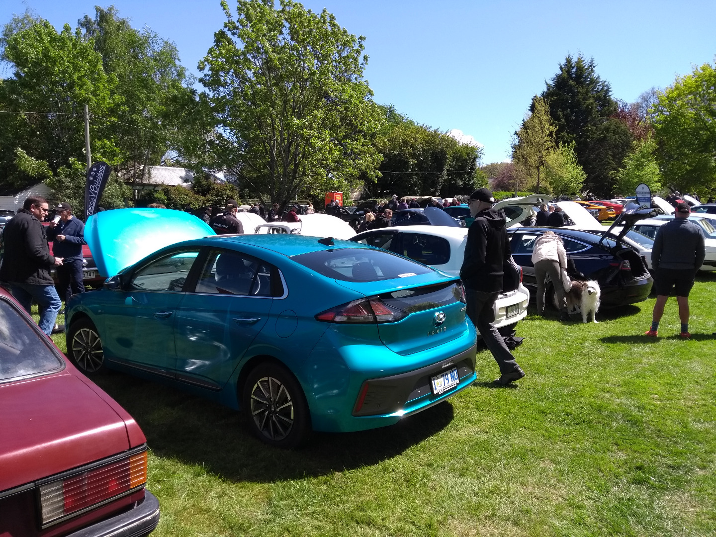 Cars at show